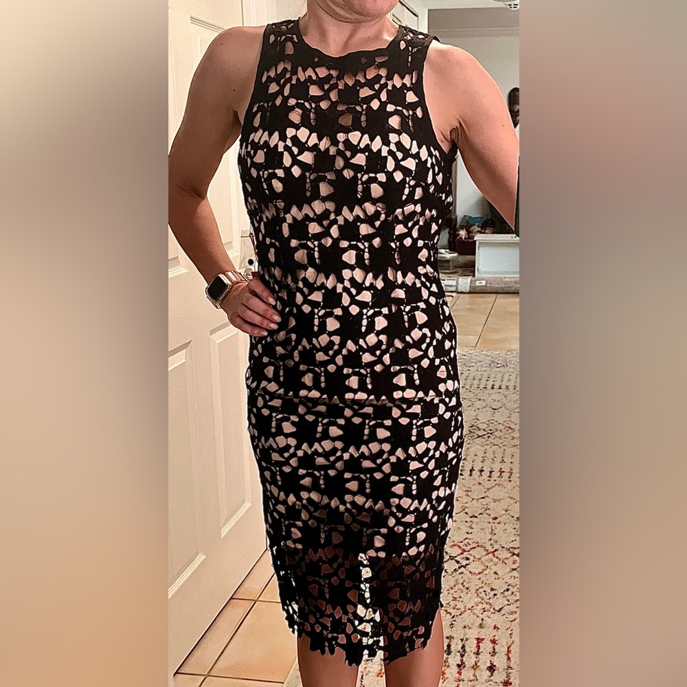 NWT Blush Noir Lace Cocktail Dress. Fitted. Flattering. Open back. NEW. Size S
